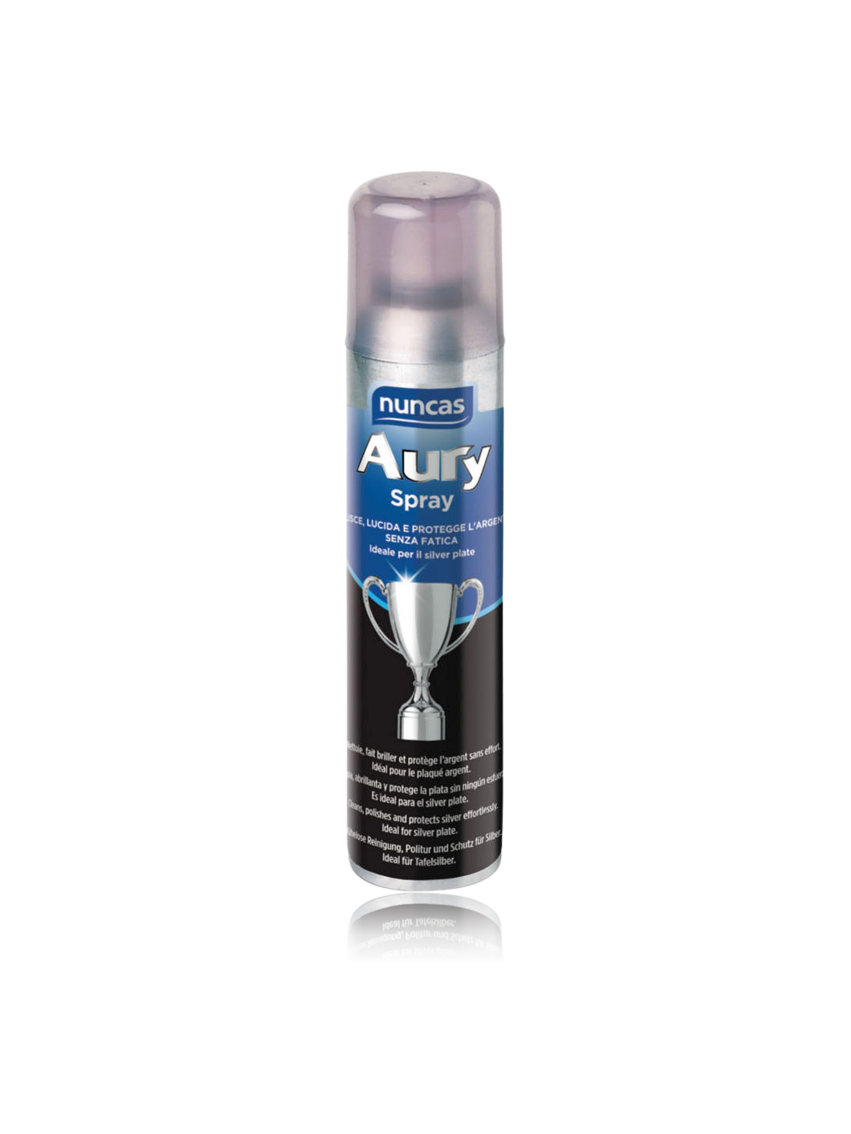 Aury Spray Detergente Argento